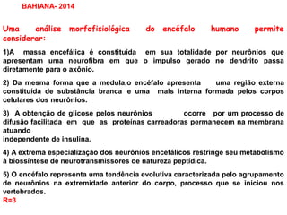 Uma análise morfofisiológica do encéfalo humano permite
considerar:
1)A massa encefálica é constituída em sua totalidade por neurônios que
apresentam uma neurofibra em que o impulso gerado no dendrito passa
diretamente para o axônio.
2) Da mesma forma que a medula,o encéfalo apresenta uma região externa
constituída de substância branca e uma mais interna formada pelos corpos
celulares dos neurônios.
3) A obtenção de glicose pelos neurônios ocorre por um processo de
difusão facilitada em que as proteínas carreadoras permanecem na membrana
atuando
independente de insulina.
4) A extrema especialização dos neurônios encefálicos restringe seu metabolismo
à biossíntese de neurotransmissores de natureza peptídica.
5) O encéfalo representa uma tendência evolutiva caracterizada pelo agrupamento
de neurônios na extremidade anterior do corpo, processo que se iniciou nos
vertebrados.
R=3
BAHIANA- 2014
 