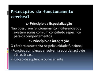 Princípios	
  do	
  funcionamento	
  
cerebral	
  
1-­‐	
  Princípio	
  da	
  Especialização	
  
Não	
  possui	
  um	
  funcionamento	
  indiferenciado	
  ;	
  
existem	
  zonas	
  com	
  um	
  contributo	
  especíﬁco	
  
para	
  os	
  comportamentos.	
  
2-­‐	
  Princípio	
  da	
  integração	
  
O	
  cérebro	
  caracteriza-­‐se	
  pela	
  unidade	
  funcional:	
  	
  
-­‐	
  Funções	
  complexas	
  envolvem	
  a	
  coordenação	
  de	
  
várias	
  áreas.	
  
-­‐	
  Função	
  de	
  suplência	
  ou	
  vicariante	
  
 