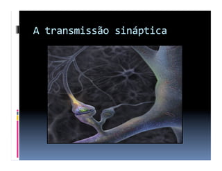 A	
  transmissão	
  sináptica	
  
 
