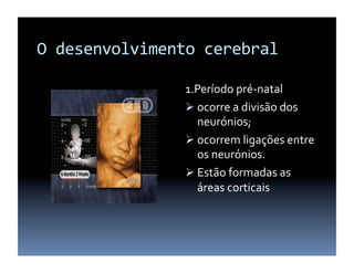 O	
  desenvolvimento	
  cerebral	
  

                     1.Período	
  pré-­‐natal	
  	
  
                       ocorre	
  a	
  divisão	
  dos	
  
                        neurónios;	
  
                       ocorrem	
  ligações	
  entre	
  
                        os	
  neurónios.	
  
                       Estão	
  formadas	
  as	
  
                        áreas	
  corticais	
  
 