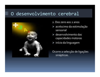O	
  desenvolvimento	
  cerebral	
  
                    2.	
  Dos	
  zero	
  aos	
  2	
  anos	
  
                      acréscimo	
  da	
  estimulação	
  
                          sensorial	
  
                      desenvolvimento	
  das	
  
                          capacidades	
  motoras	
  
                      início	
  da	
  linguagem	
  


                    Ocorre	
  a	
  selecção	
  de	
  ligações	
  
                      sinápticas.	
  
 