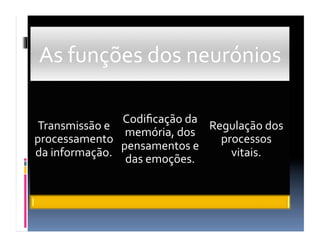 As	
  funções	
  dos	
  neurónios	
  

                      Codiﬁcação	
  da	
  
Transmissão	
  e	
                         Regulação	
  dos	
  
                       memória,	
  dos	
  
processamento	
                              processos	
  
                      pensamentos	
  e	
  
da	
  informação.	
                            vitais.	
  
                       das	
  emoções.	
  
 