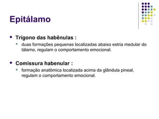 Epitálamo
   Trígono das habênulas :
       duas formações pequenas localizadas abaixo estria medular do
        tálamo, regulam o comportamento emocional.

   Comissura habenular :
       formação anatômica localizada acima da glândula pineal,
        regulam o comportamento emocional.
 