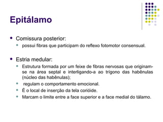 Epitálamo
   Comissura posterior:
       possui fibras que participam do reflexo fotomotor consensual.

   Estria medular:
       Estrutura formada por um feixe de fibras nervosas que originam-
        se na área septal e interligando-a ao trígono das habênulas
        (núcleo das habênulas);
        regulam o comportamento emocional.
       É o local de inserção da tela corióide.
       Marcam o limite entre a face superior e a face medial do tálamo.
 