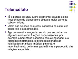 Telencéfalo
   É a porção do SNC supra-segmentar situado acima
    (recobrindo) do diencéfalo e ocupa a maior parte da
    caixa craniana.
    Além das funções psíquicas, coordena os estímulos
    sensoriais e a motricidade.
   Age de maneira integrada, sendo que encontramos
    algumas áreas com funções especializadas, por
    exemplo o hemisfério esquerdo com a linguagem e o
    raciocínio matemático, o direito relacionado às
    habilidades artísticas (música, pintura), o
    reconhecimento de formas geométricas e percepção das
    relações espaciais.
 