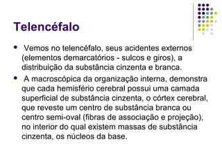 Telencéfalo
    Vemos no telencéfalo, seus acidentes externos
    (elementos demarcatórios - sulcos e giros), a
    distribuição da substância cinzenta e branca.
    A macroscópica da organização interna, demonstra
    que cada hemisfério cerebral possui uma camada
    superficial de substância cinzenta, o córtex cerebral,
    que reveste um centro de substância branca ou
    centro semi-oval (fibras de associação e projeção),
    no interior do qual existem massas de substância
    cinzenta, os núcleos da base.
 
