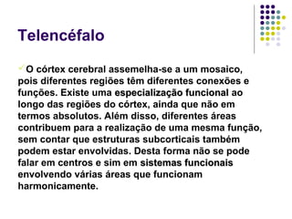 Telencéfalo
O córtex cerebral assemelha-se a um mosaico,
pois diferentes regiões têm diferentes conexões e
funções. Existe uma especialização funcional ao
longo das regiões do córtex, ainda que não em
termos absolutos. Além disso, diferentes áreas
contribuem para a realização de uma mesma função,
sem contar que estruturas subcorticais também
podem estar envolvidas. Desta forma não se pode
falar em centros e sim em sistemas funcionais
envolvendo várias áreas que funcionam
harmonicamente.
 
