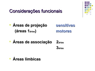 Considerações funcionais

   Áreas de projeção     sensitivas
     (áreas 1árias)       motoras

   Áreas de associação   2árias
                          3árias

   Áreas límbicas
 