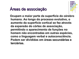 Áreas de associação
Ocupam a maior parte da superfície do cérebro
humano. Ao longo do processo evolutivo, o
aumento da superfície cortical se fez através
da expansão do córtex de associação,
permitindo o aparecimento de funções no
homem não encontradas em outras espécies,
como a linguagem verbal e autoconsciência.
Podem ser divididas em áreas secundárias e
terciárias.
 