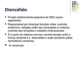 Diencéfalo
   Porção relativamente pequena do SNC supra-
    segmentar;
   Responsável por diversas funções vitais :controle
    endócrino, estação (relê) das sensações e motoras,
    controle das emoções e estados motivacionais;
   É a parte do sistema nervoso central situada entre o
    tronco cerebral e o telencéfalo e está recoberto pelos
    hemisférios cerebrais;
 III ventrículo.
 