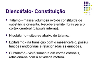 Diencéfalo- Constituição
   Tálamo - massa volumosa ovóide constituída de
    substância cinzenta. Recebe e emite fibras para o
    córtex cerebral (cápsula interna).
   Hipotálamo - situa-se abaixo do tálamo.
   Epitálamo - na transição com o mesencéfalo, possui
    funções endócrinas e relacionadas as emoções.
   Subtálamo - visto somente em cortes coronais,
    relaciona-se com a atividade motora.
 