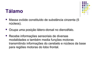 Tálamo
   Massa ovóide constituído de substância cinzenta (5
    núcleos).
   Ocupa uma posição látero-dorsal no diencéfalo.
   Recebe informações sensoriais de diversas
    modalidades e também media funções motoras
    transmitindo informações do cerebelo e núcleos da base
    para regiões motoras do lobo frontal.
 