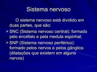 Sistema nervoso 8ano