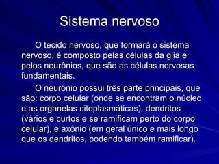 Sistema nervoso 8ano