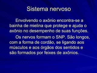 Sistema nervoso 8ano