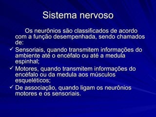 Sistema nervoso 8ano