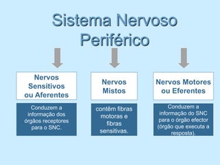 Sistema Nervoso
              Periférico

   Nervos
                      Nervos        Nervos Motores
 Sensitivos
                      Mistos         ou Eferentes
ou Aferentes
   Conduzem a       contêm fibras        Conduzem a
 informação dos                      informação do SNC
                      motoras e
órgãos receptores                    para o órgão efector
                        fibras      (órgão que executa a
   para o SNC.
                     sensitivas.          resposta).
 