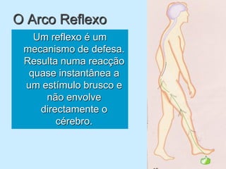 O Arco Reflexo
   Um reflexo é um
 mecanismo de defesa.
 Resulta numa reacção
  quase instantânea a
 um estímulo brusco e
     não envolve
    directamente o
        cérebro.
 