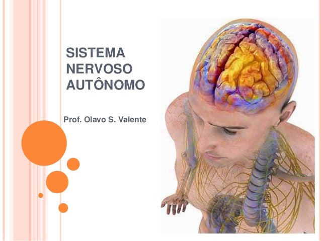 Prof. Olavo S. Valente
SISTEMA
NERVOSO
AUTÔNOMO
 