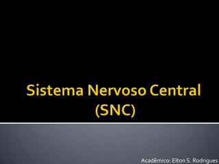 Sistema nervoso central