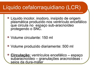 Sistema nervoso central | PPT