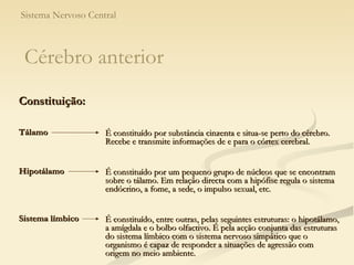 Sistema Nervoso Central É constituído por substância cinzenta e situa-se perto do cérebro. Recebe e transmite informações de e para o córtex cerebral.   Tálamo Hipotálamo É constituído por um pequeno grupo de núcleos que se encontram sobre o tálamo. Em relação directa com a hipófise regula o sistema endócrino, a fome, a sede, o impulso sexual, etc. Sistema límbico É constituído, entre outras, pelas seguintes estruturas: o hipotálamo, a amígdala e o bolbo olfactivo. É pela acção conjunta das estruturas do sistema límbico com o sistema nervoso simpático que o organismo é capaz de responder a situações de agressão com origem no meio ambiente. Cérebro anterior Constituição: 