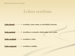 Sistema Nervoso Central Lobos cerebrais coordena, entre outras, as actividades motoras; Lobo frontal Lobo parietal coordena as sensações relacionadas com a pele; Lobo occipital coordena a visão; Lobo temporal coordena a audição. 