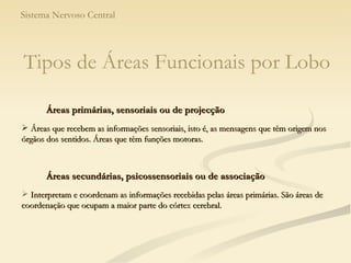 Sistema Nervoso Central Tipos de Áreas Funcionais por Lobo Áreas primárias, sensoriais ou de projecção Áreas que recebem as informações sensoriais, isto é, as mensagens que têm origem nos órgãos dos sentidos. Áreas que têm funções motoras. Áreas secundárias, psicossensoriais ou de associação Interpretam e coordenam as informações recebidas pelas áreas primárias. São áreas de coordenação que ocupam a maior parte do córtex cerebral. 