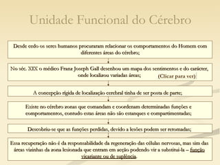 Unidade Funcional do Cérebro Desde cedo os seres humanos procuraram relacionar os comportamentos do Homem com diferentes áreas do cérebro; No séc. XIX o médico Franz Joseph Gall desenhou um mapa dos sentimentos e do carácter, onde localizou variadas áreas; A concepção rígida de localização cerebral tinha de ser posta de parte; Existe no cérebro zonas que comandam e coordenam determinadas funções e comportamentos, contudo estas áreas não são estanques e compartimentadas; Descobriu-se que as funções perdidas, devido a lesões podem ser retomadas; Essa recuperação não é da responsabilidade da regeneração das células nervosas, mas sim das áreas vizinhas da zona lesionada que entram em acção podendo vir a substitui-la –  função vicariante ou de suplência . (Clicar para ver) 