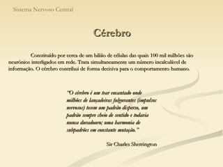Cérebro Sistema Nervoso Central “ O cérebro é um tear encantado onde milhões de lançadeiras fulgurantes (impulsos nervosos) tecem um padrão disperso, um padrão sempre cheio de sentido e todavia nunca duradouro; uma harmonia de subpadrões em constante mutação.” Sir Charles Sherrington Constituído por cerca de um bilião de células das quais 100 mil milhões são neurónios interligados em rede. Trata simultaneamente um número incalculável de informação. O cérebro contribui de forma decisiva para o comportamento humano. 
