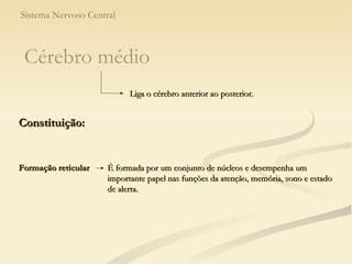 Sistema Nervoso Central É formada por um conjunto de núcleos e desempenha um importante papel nas funções da atenção, memória, sono e estado de alerta. Formação reticular Liga o cérebro anterior ao posterior. Cérebro médio Constituição: 