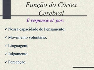 Função do Córtex
Cerebral
É responsável por:
 Nossa capacidade de Pensamento;
 Movimento voluntário;
 Linguagem;
 Julgamento;
 Percepção.
 