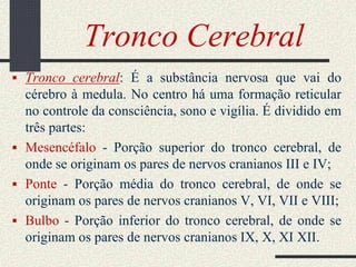 Tronco Cerebral
 Tronco cerebral: É a substância nervosa que vai do
cérebro à medula. No centro há uma formação reticular
no controle da consciência, sono e vigília. É dividido em
três partes:
 Mesencéfalo - Porção superior do tronco cerebral, de
onde se originam os pares de nervos cranianos III e IV;
 Ponte - Porção média do tronco cerebral, de onde se
originam os pares de nervos cranianos V, VI, VII e VIII;
 Bulbo - Porção inferior do tronco cerebral, de onde se
originam os pares de nervos cranianos IX, X, XI XII.
 