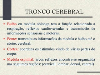 TRONCO CEREBRAL
 Bulbo ou medula oblonga tem a função relacionada a
respiração, reflexos cardiovascular e transmissão de
informações sensoriais e motoras.
 Ponte: transmite as informações da medula e bulbo até o
córtex cerebral;
 Córtex: coordena os estímulos vindo de várias partes do
corpo.
 Medula espinhal: arcos reflexos encontra-se organizada
nas seguintes regiões: (cervical, lombar, dorsal, ventral)
 