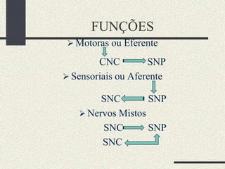 FUNÇÕES
 Motoras ou Eferente
CNC SNP
 Sensoriais ou Aferente
SNC SNP
 Nervos Mistos
SNC SNP
SNC
 