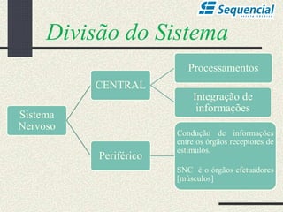 Sistema
Nervoso
CENTRAL
Processamentos
Integração de
informações
Periférico
Condução de informações
entre os órgãos receptores de
estímulos.
SNC é o órgãos efetuadores
[músculos]
Divisão do Sistema
 