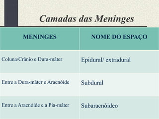 Camadas das Meninges
MENINGES NOME DO ESPAÇO
Coluna/Crânio e Dura-máter Epidural/ extradural
Entre a Dura-máter e Aracnóide Subdural
Entre a Aracnóide e a Pia-máter Subaracnóideo
 