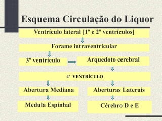 Esquema Circulação do Liquor
Ventrículo lateral [1º e 2º ventrículos]
Forame intraventricular
3º ventrículo Arquedoto cerebral
4º VENTRÍCULO
Abertura Mediana Aberturas Laterais
Medula Espinhal Cérebro D e E
 