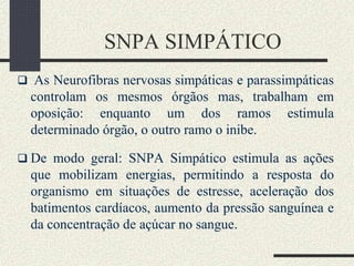 SNPA SIMPÁTICO
 As Neurofibras nervosas simpáticas e parassimpáticas
controlam os mesmos órgãos mas, trabalham em
oposição: enquanto um dos ramos estimula
determinado órgão, o outro ramo o inibe.
 De modo geral: SNPA Simpático estimula as ações
que mobilizam energias, permitindo a resposta do
organismo em situações de estresse, aceleração dos
batimentos cardíacos, aumento da pressão sanguínea e
da concentração de açúcar no sangue.
 