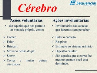 Cérebro
Ações voluntárias
 são aquelas que nos permite
ter vontade própria, como:
 Comer;
 Falar;
 Brincar;
 Mover o dedão do pé;
 Sorrir;
 Correr e muitas outras
atividades
Ações involuntárias
 Involuntárias são aquelas
que fazemos sem perceber.
 Bater o coração;
 Respirar;
 Estímulo ao sistema urinário
 Digestão celular;
 São aquelas que o corpo faz
mesmo quando você está
dormindo.
 