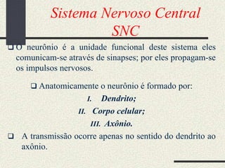 Sistema Nervoso Central
SNC
 O neurônio é a unidade funcional deste sistema eles
comunicam-se através de sinapses; por eles propagam-se
os impulsos nervosos.
 Anatomicamente o neurônio é formado por:
I. Dendrito;
II. Corpo celular;
III. Axônio.
 A transmissão ocorre apenas no sentido do dendrito ao
axônio.
 