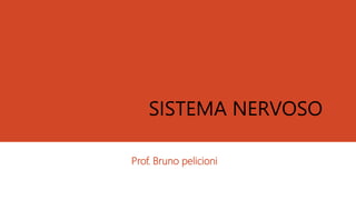 Prof. Bruno pelicioni
SISTEMA NERVOSO
 