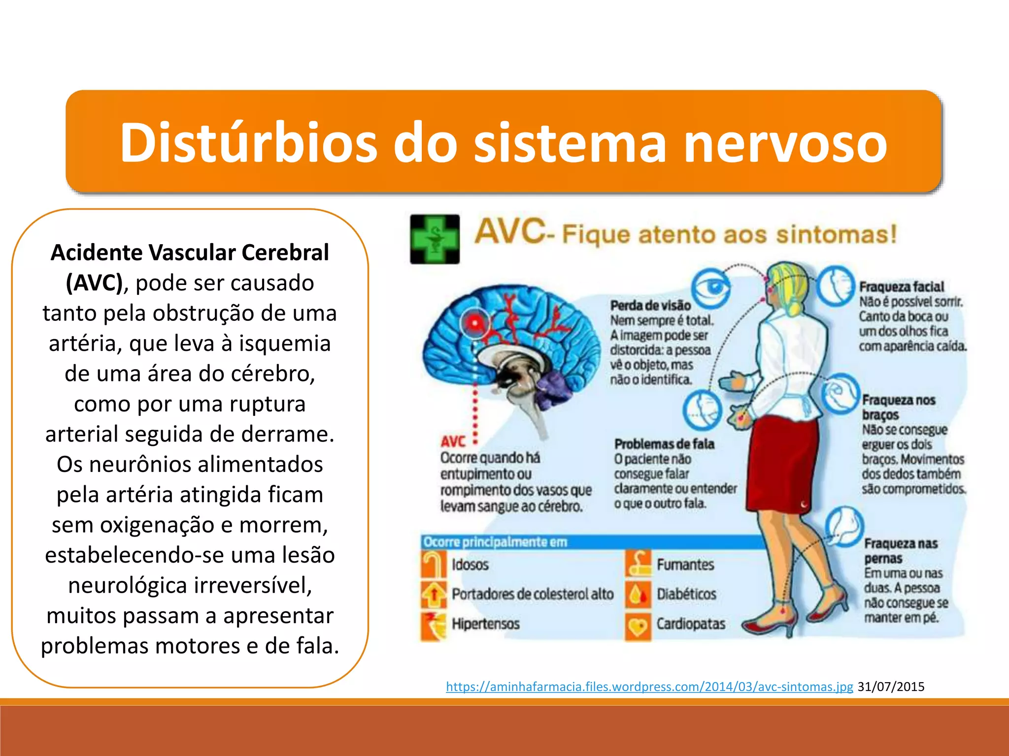 Sistema nervoso e as principais doenças.ppt