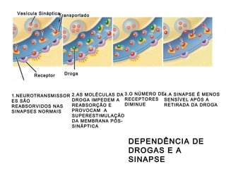 DEPENDÊNCIA DE DROGAS E A SINAPSE 1.NEUROTRANSMISSORES SÃO REABSORVIDOS NAS SINAPSES NORMAIS 2.AS MOLÉCULAS DA DROGA IMPEDEM A REABSORÇÃO E PROVOCAM  A SUPERESTIMULAÇÃO DA MEMBRANA PÓS-SINÁPTICA 3.O NÚMERO DE RECEPTORES DIMINUE 4.A SINAPSE É MENOS SENSÍVEL APÓS A RETIRADA DA DROGA Vesícula Sináptica Receptor Droga Transportador 