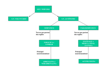 SIST. NERVOSO S.N. VOLUNTÁRIO S.N. AUTÔNOMO SIMPÁTICO PARASSIMPÁTICO TORÁCICA e  LOMBAR ENCÉFALO  e MEDULA FINAL (SACRAL) ADRENALINA e NORADRENALINA  ACETILCOLINA Nervos que partem das regiões Nervos que partem das regiões Principal neurotransmissor Principal neurotransmissor 