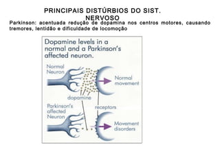 PRINCIPAIS DISTÚRBIOS DO SIST. NERVOSO Parkinson: acentuada redução de dopamina nos centros motores, causando tremores, lentidão e dificuldade de locomoção 