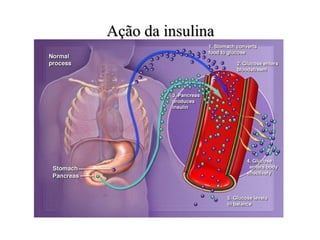 Ação da insulina 