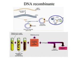 DNA recombinante 