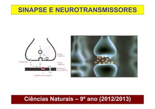 SINAPSE E NEUROTRANSMISSORES




 Ciências Naturais – 9º ano (2012/2013)
 