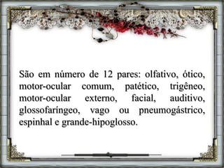 São em número de 12 pares: olfativo, ótico,
motor-ocular comum, patético, trigêneo,
motor-ocular externo, facial, auditivo,
glossofaríngeo, vago ou pneumogástrico,
espinhal e grande-hipoglosso.
 